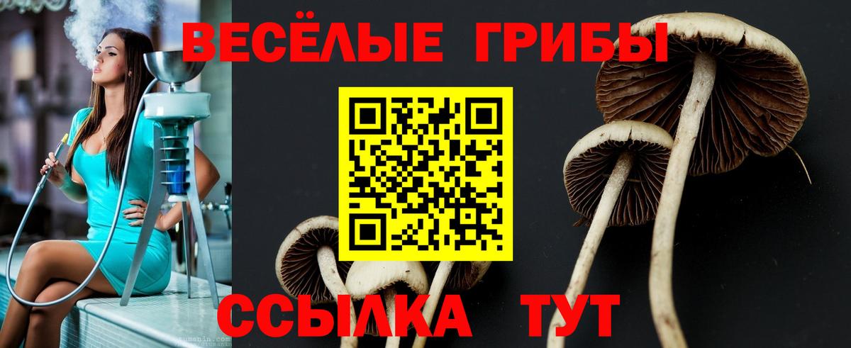 Псилоцибиновые грибы Magic Shrooms  Псилоцибиновые грибы Cubensis  Советский  Вход с VPN 
